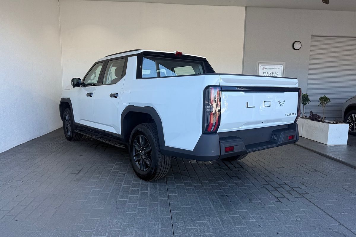 2025 LDV Terron 9 Origin EKK1C 4X4