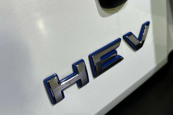 2025 GWM Tank 300 Ultra Hybrid P01