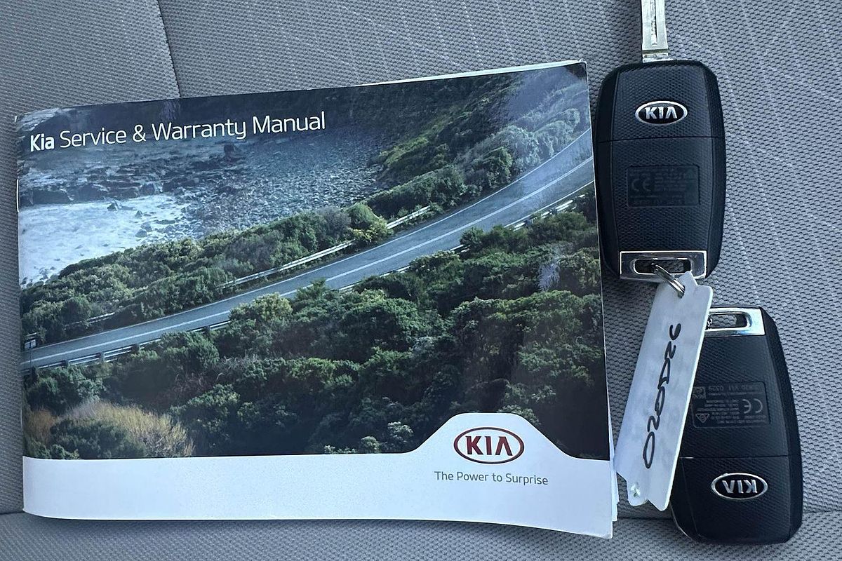 2020 Kia Carnival S YP