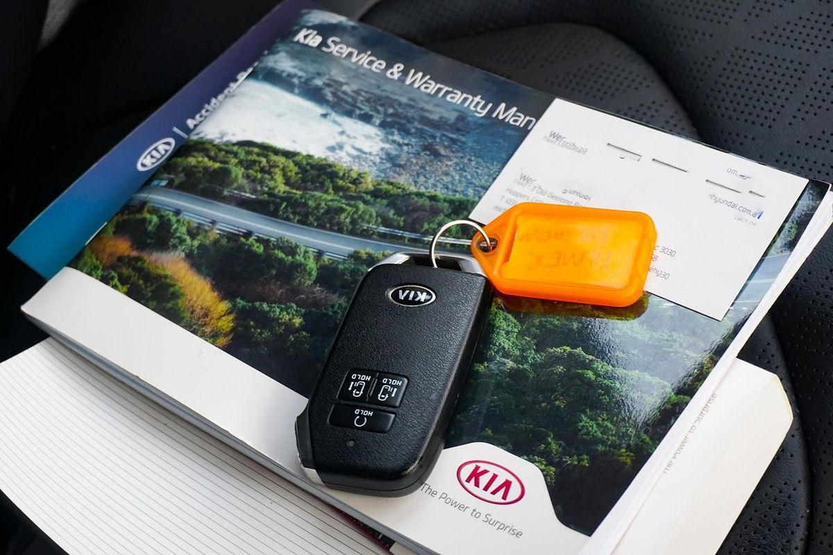 2020 Kia Carnival Platinum KA4