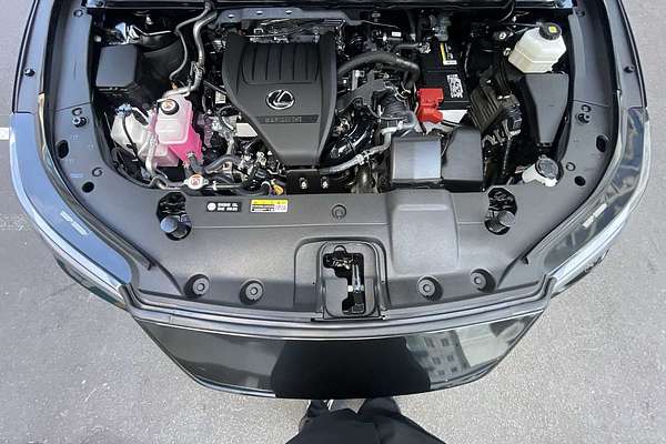 2023 Lexus RX Premium Plus