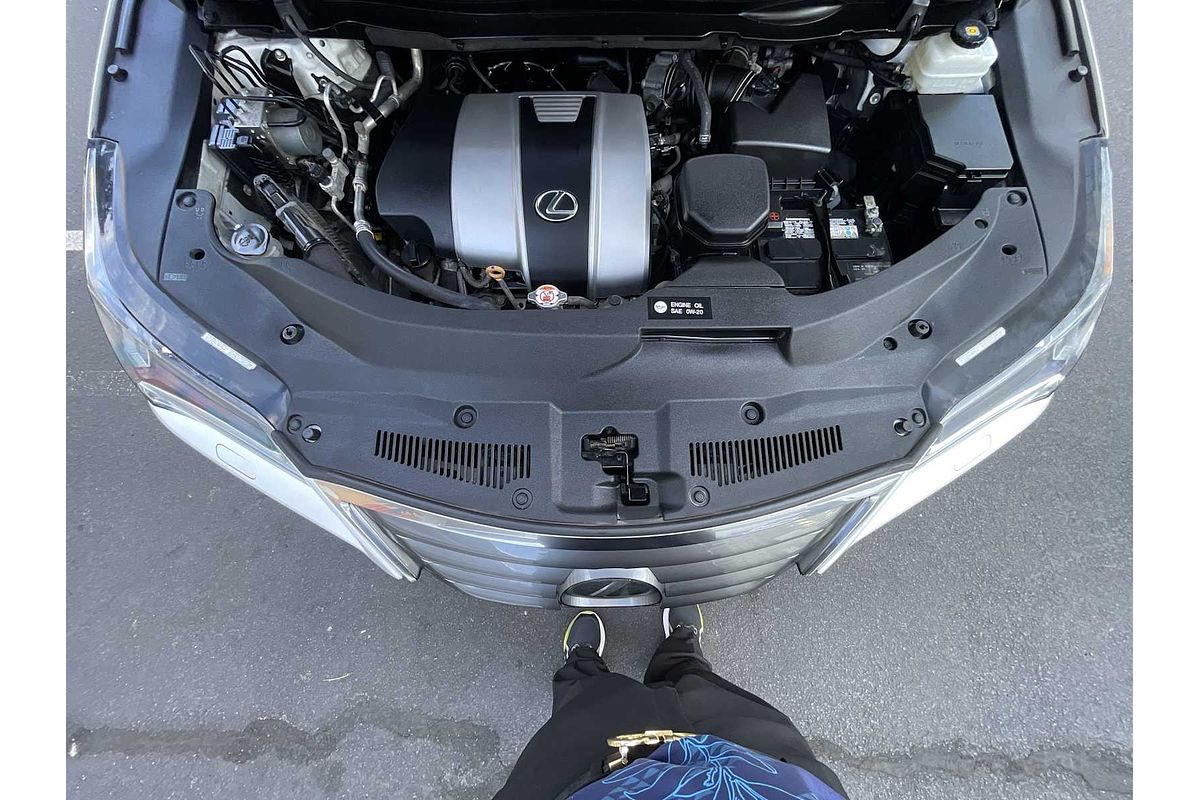 2019 Lexus RX