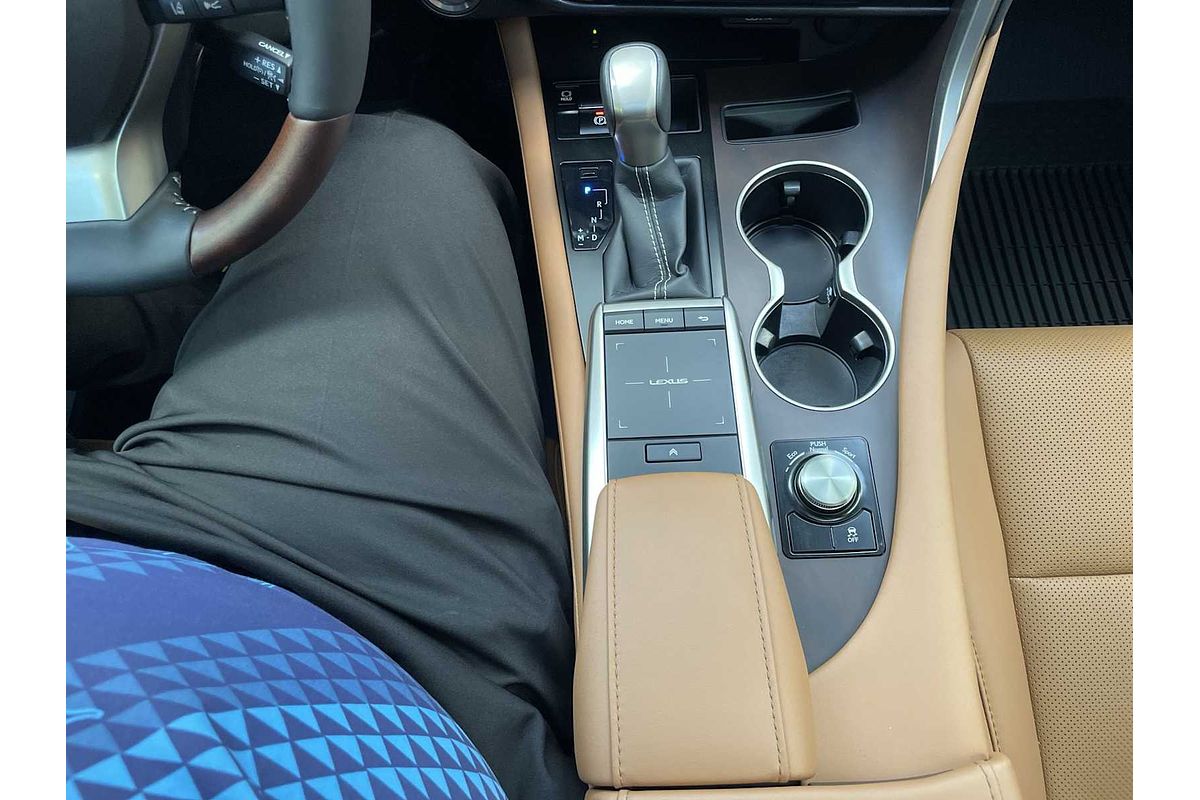 2022 Lexus RX