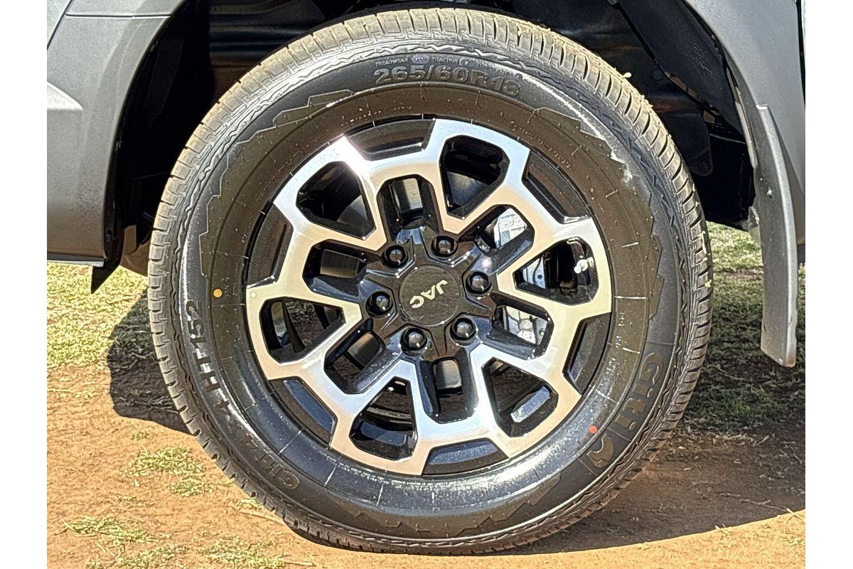 2025 JAC T9 Haven All Wheel Drive