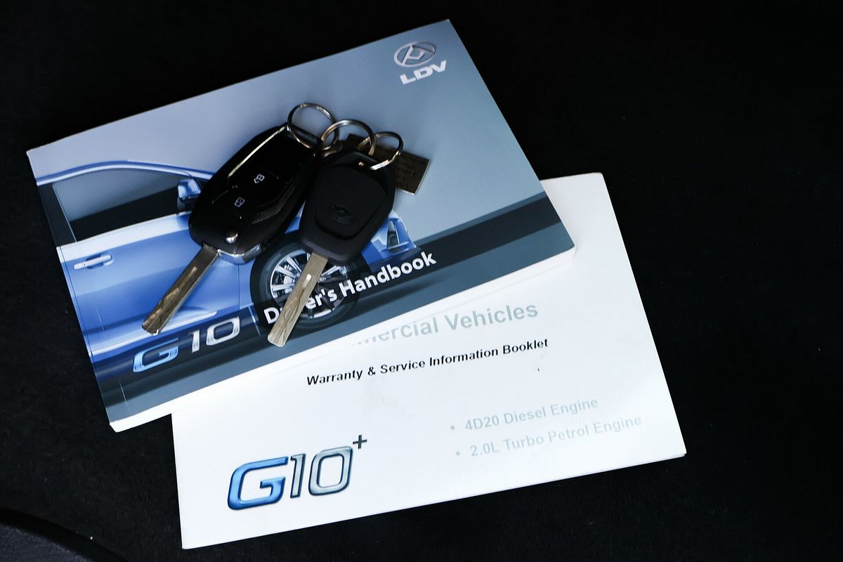 2022 LDV G10 + SV7C