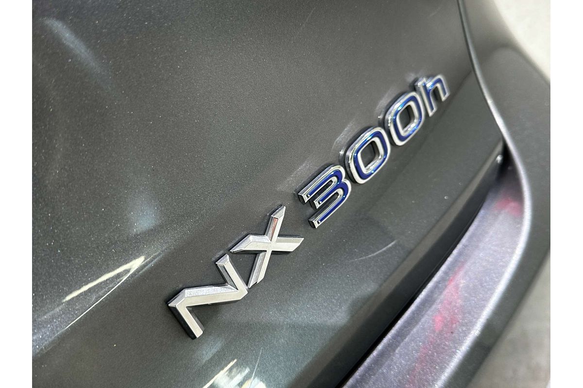 2015 Lexus NX NX300h Luxury AYZ10R