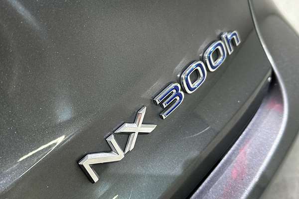 2015 Lexus NX NX300h Luxury AYZ10R