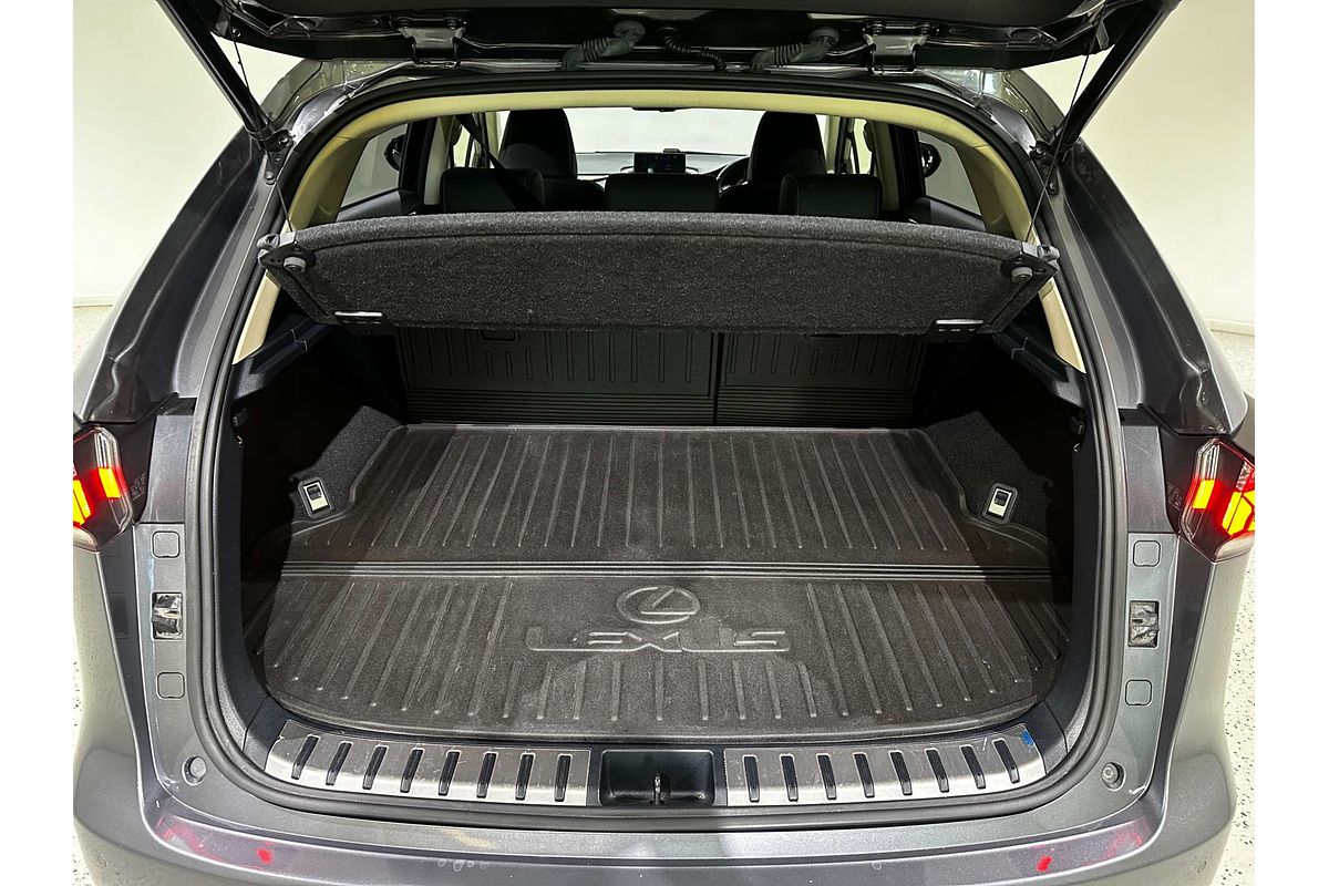 2015 Lexus NX NX300h Luxury AYZ10R