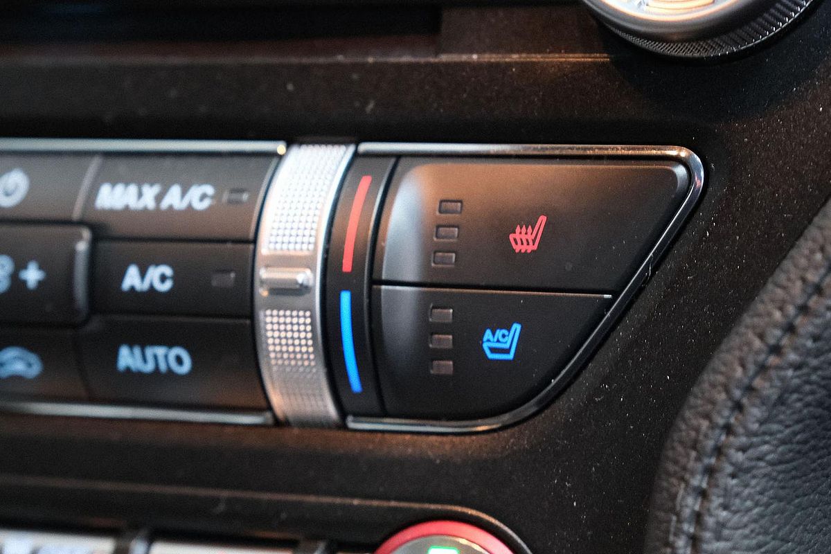2020 Ford Mustang GT FN