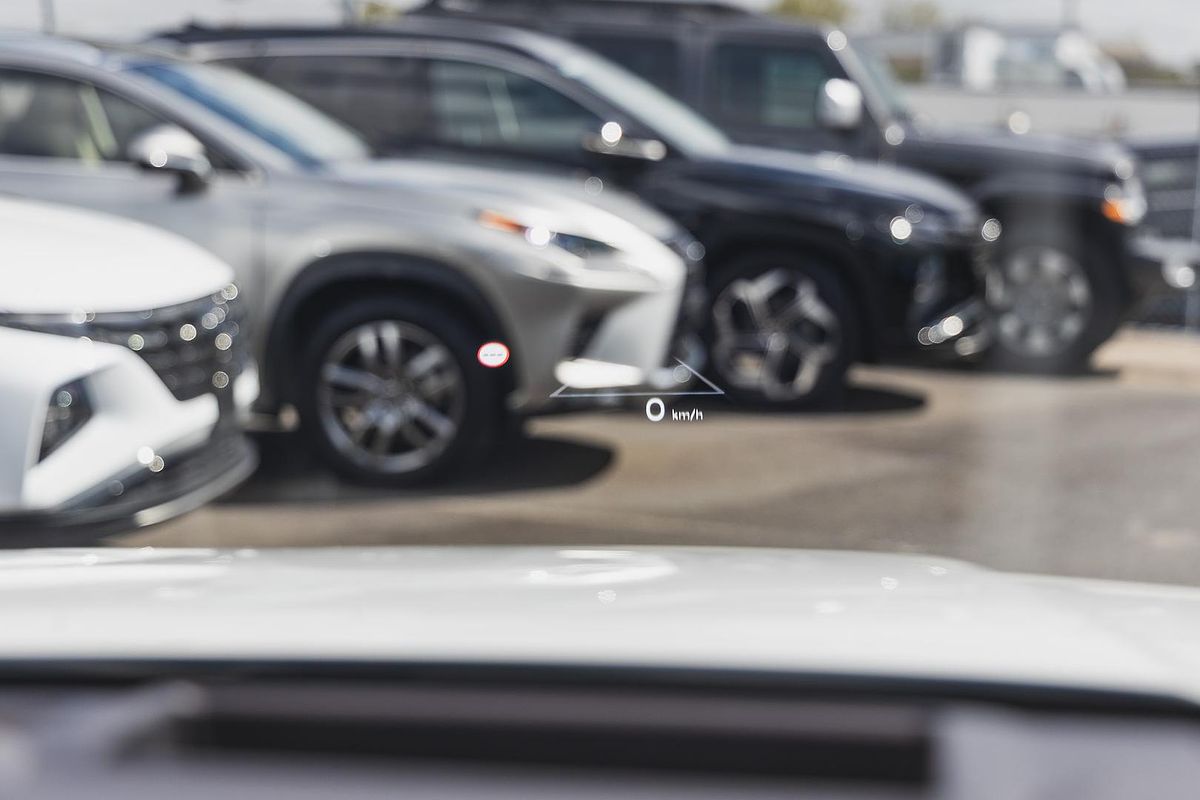 2024 Hyundai Santa Fe Calligraphy MX5.V1