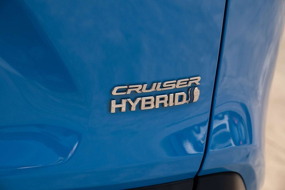 2019 Toyota RAV4 Cruiser AXAH52R