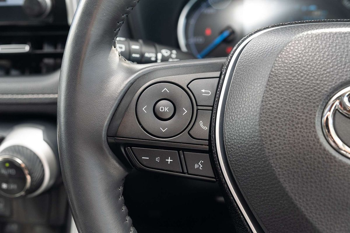 2019 Toyota RAV4 Cruiser AXAH52R