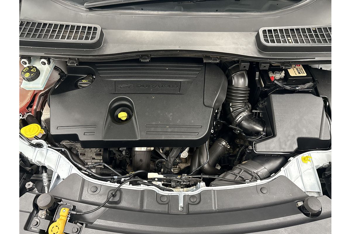 2017 Ford Escape Trend ZG