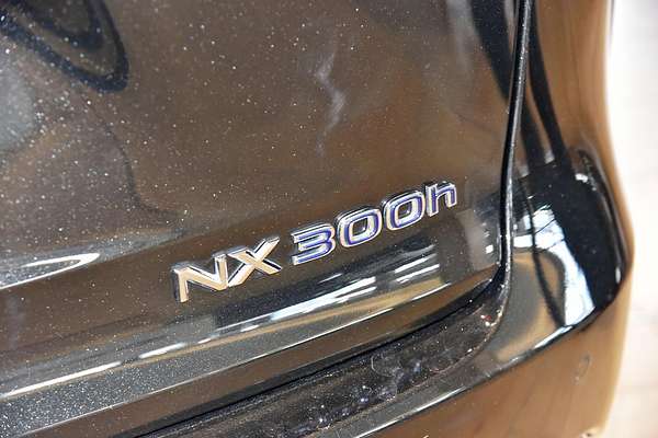 2021 Lexus NX NX300h Luxury AYZ15R