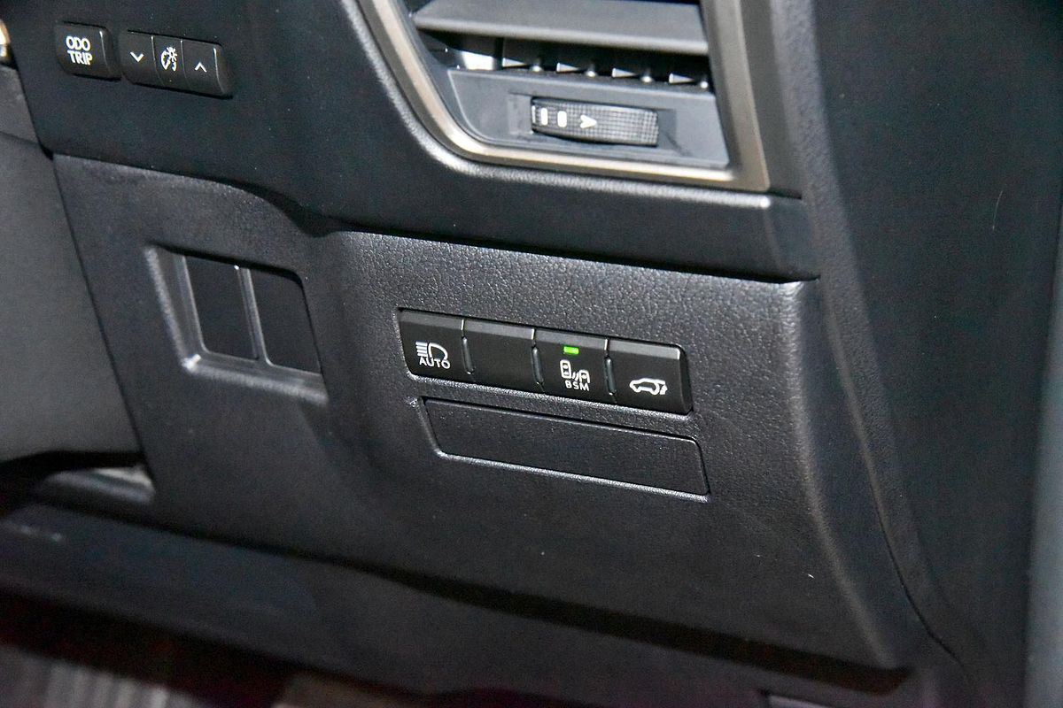 2021 Lexus NX NX300h Luxury AYZ15R