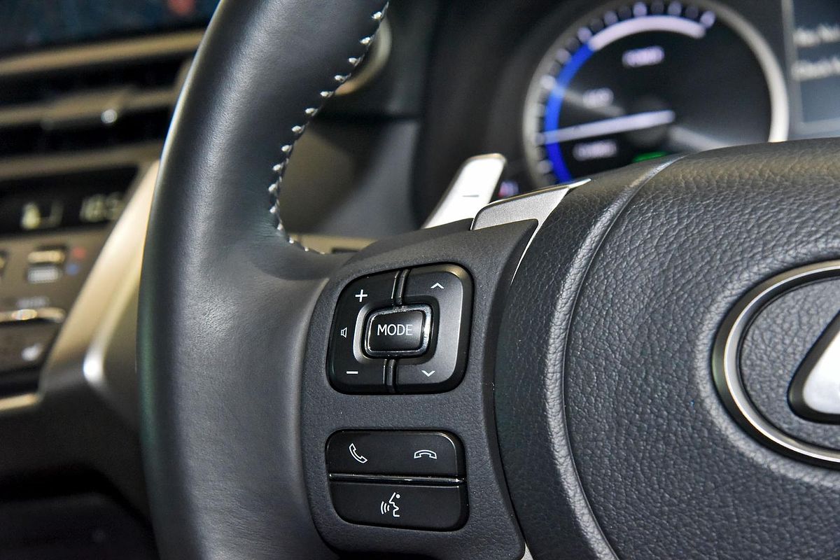 2021 Lexus NX NX300h Luxury AYZ15R