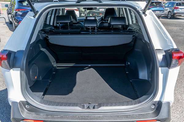 2020 Toyota RAV4 Cruiser AXAH54R