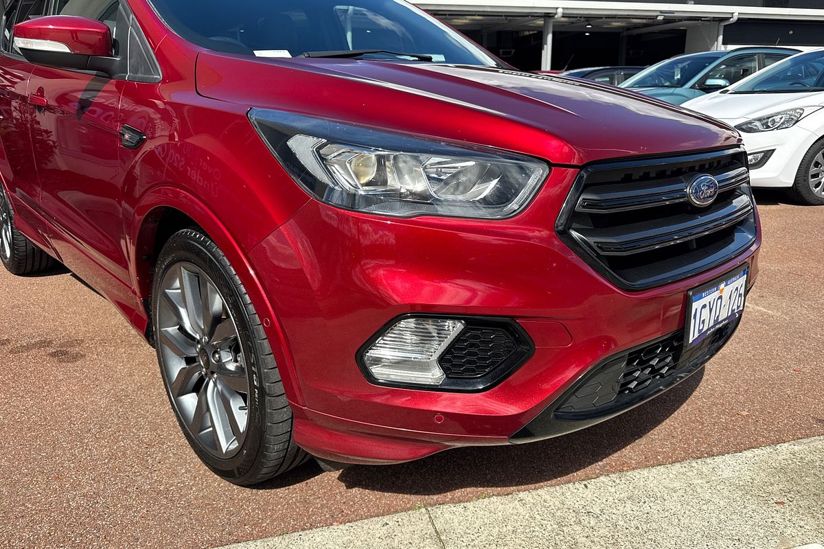 2019 Ford Escape ST-Line ZG