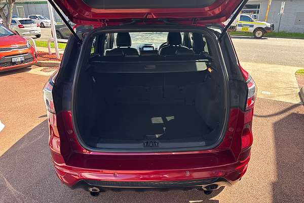 2019 Ford Escape ST-Line ZG