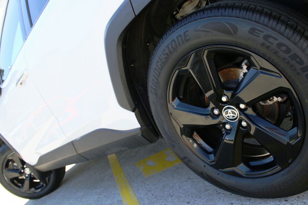 2020 Toyota RAV4 Cruiser AXAH52R
