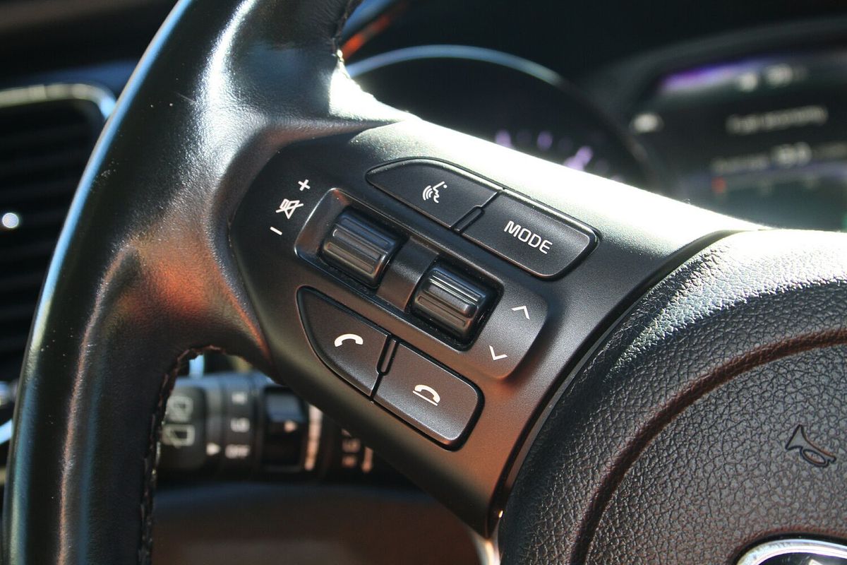 2019 Kia Carnival Platinum YP