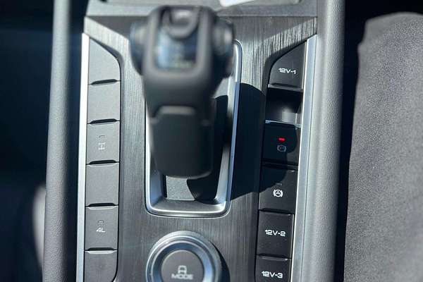 2025 GWM Ute
