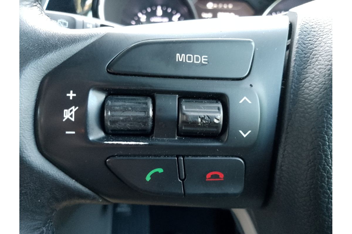 2016 Kia Carnival Platinum YP