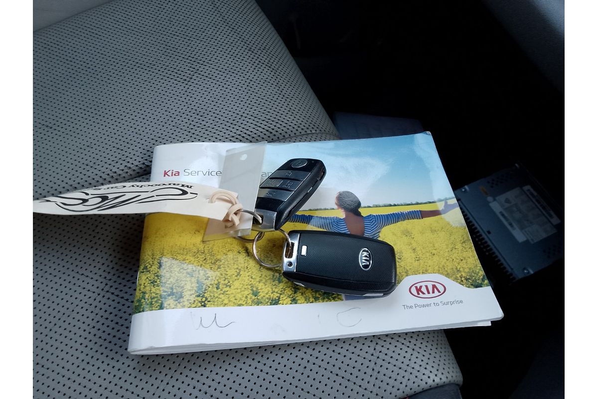 2016 Kia Carnival Platinum YP