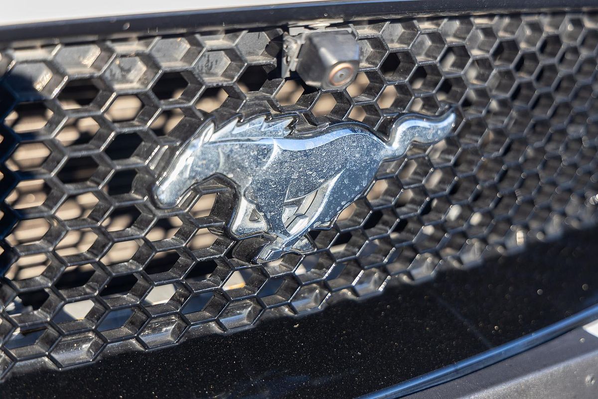 2019 Ford Mustang GT FN