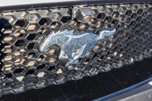 2019 Ford Mustang GT FN