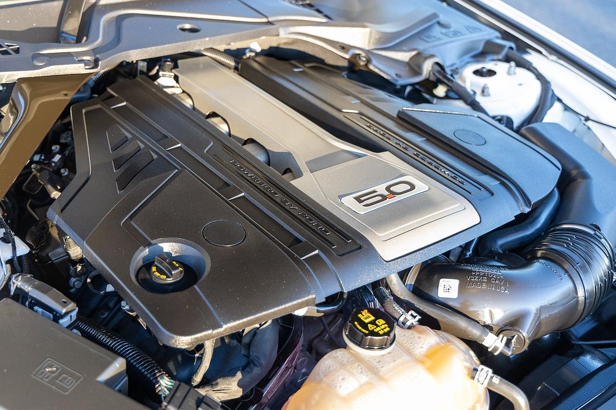 2019 Ford Mustang GT FN