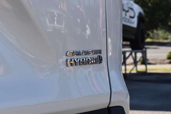 2020 Toyota RAV4 Cruiser AXAH52R