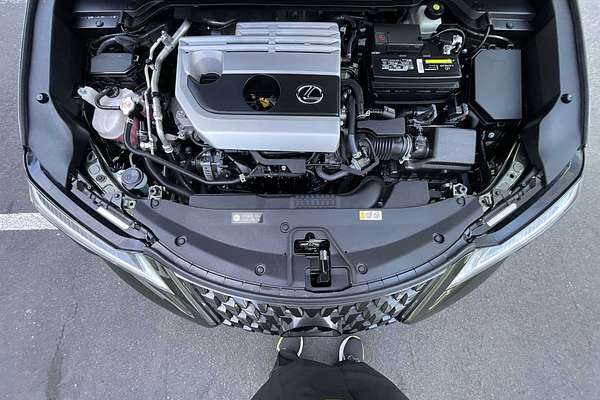 2022 Lexus UX UX 200