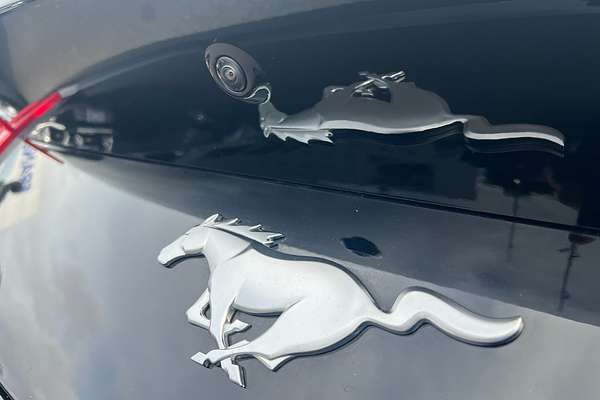 2025 Ford Mustang Ecoboost FO