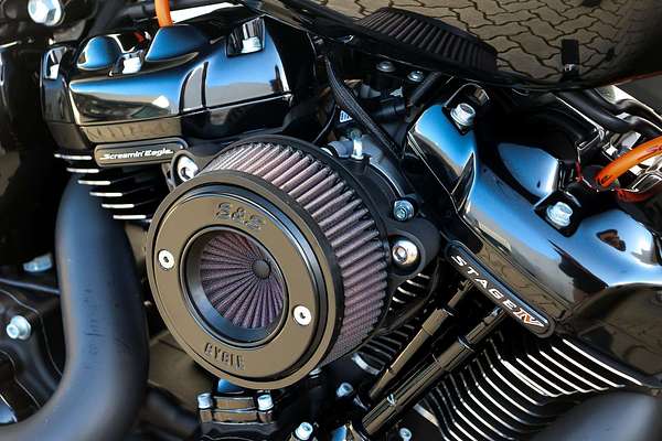 2022 Harley-Davidson SOFTAIL