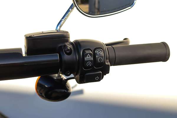 2022 Harley-Davidson SOFTAIL