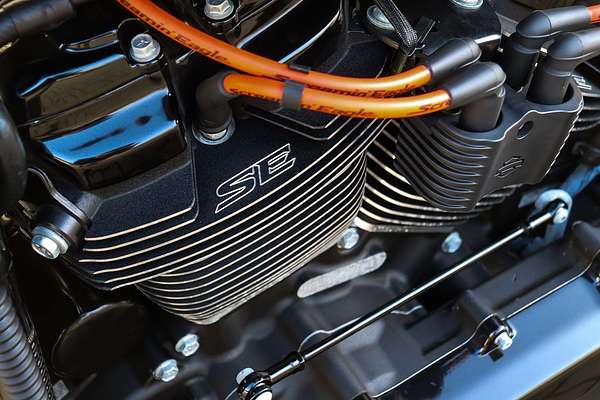 2022 Harley-Davidson SOFTAIL