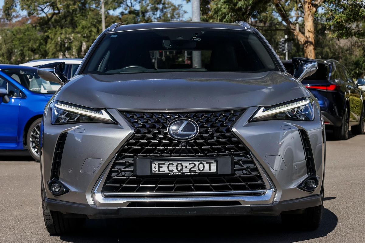 2019 Lexus UX UX200 Sport Luxury MZAA10R
