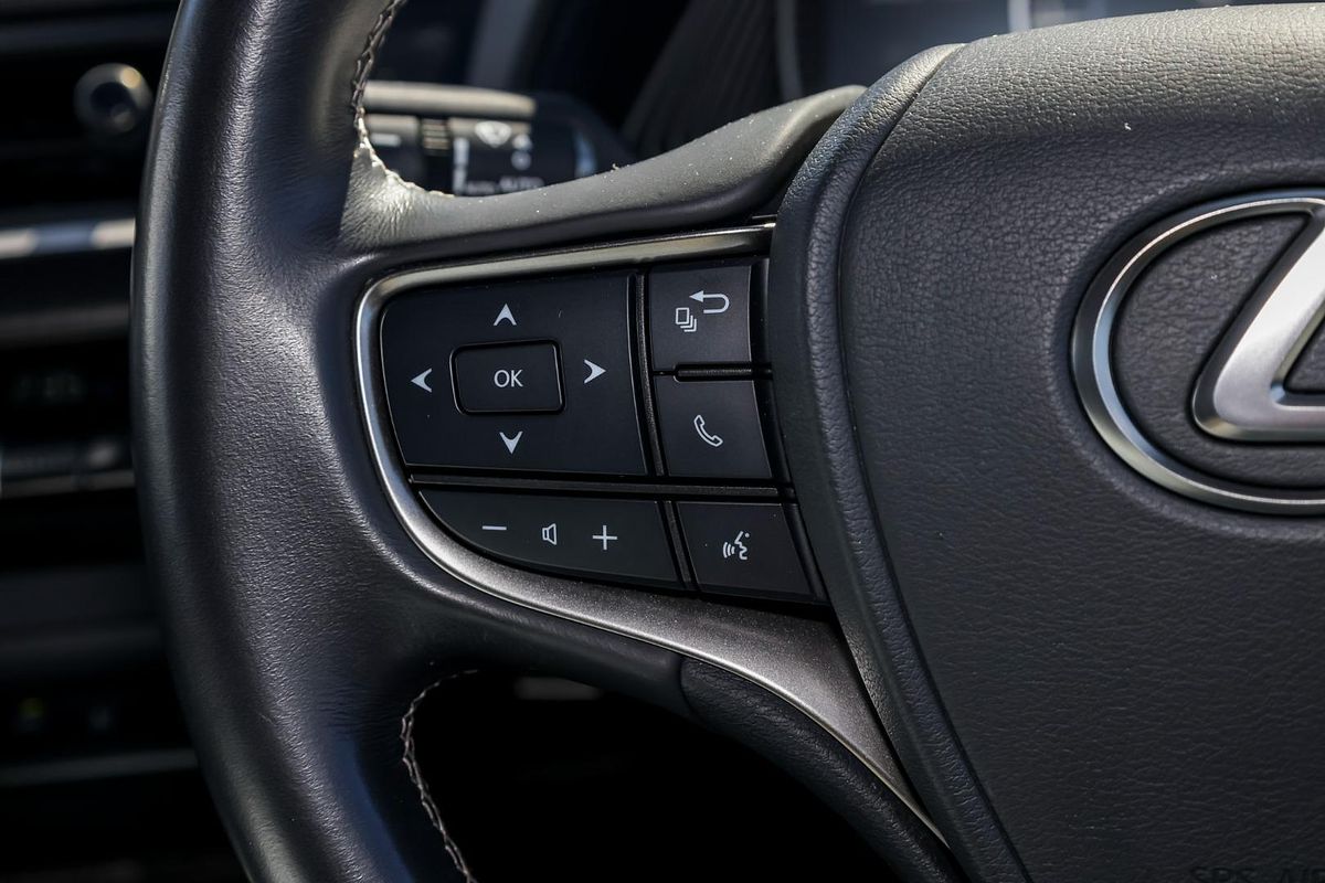 2019 Lexus UX UX200 Sport Luxury MZAA10R