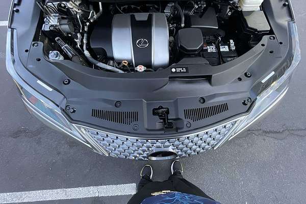 2022 Lexus RX