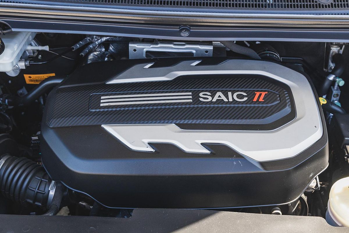 2021 LDV G10 + SV7C