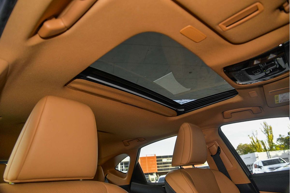 2023 Lexus NX NX350h Luxury AAZH25R