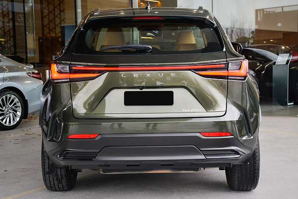 2023 Lexus NX NX250 AAZA20R