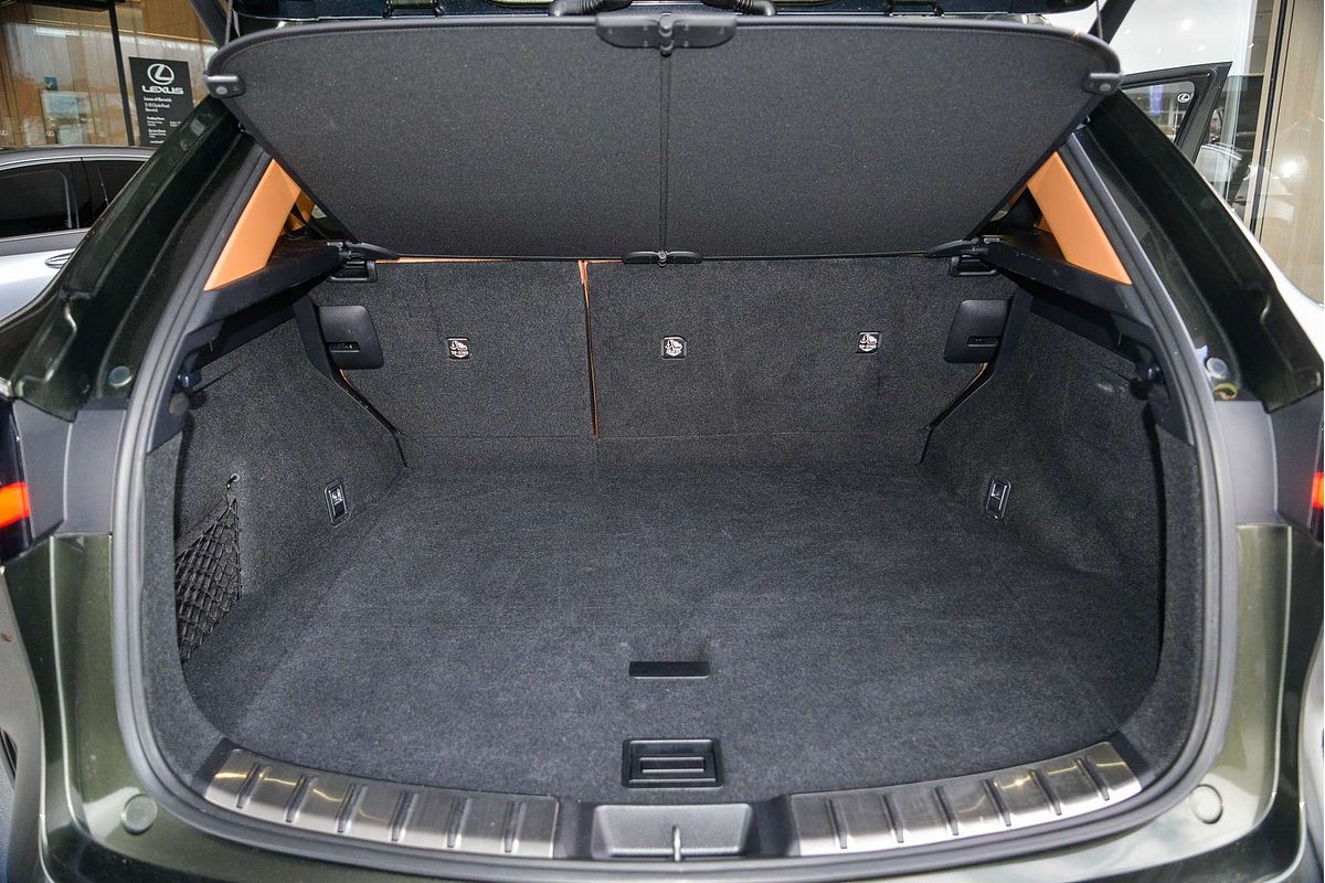 2023 Lexus NX NX250 AAZA20R