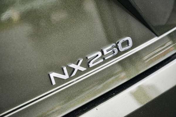 2023 Lexus NX NX250 AAZA20R