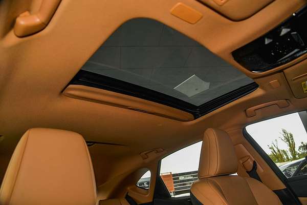 2023 Lexus NX NX250 AAZA20R