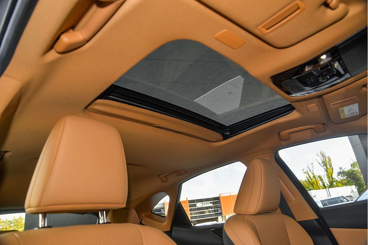 2024 Lexus NX NX350h Luxury AAZH25R