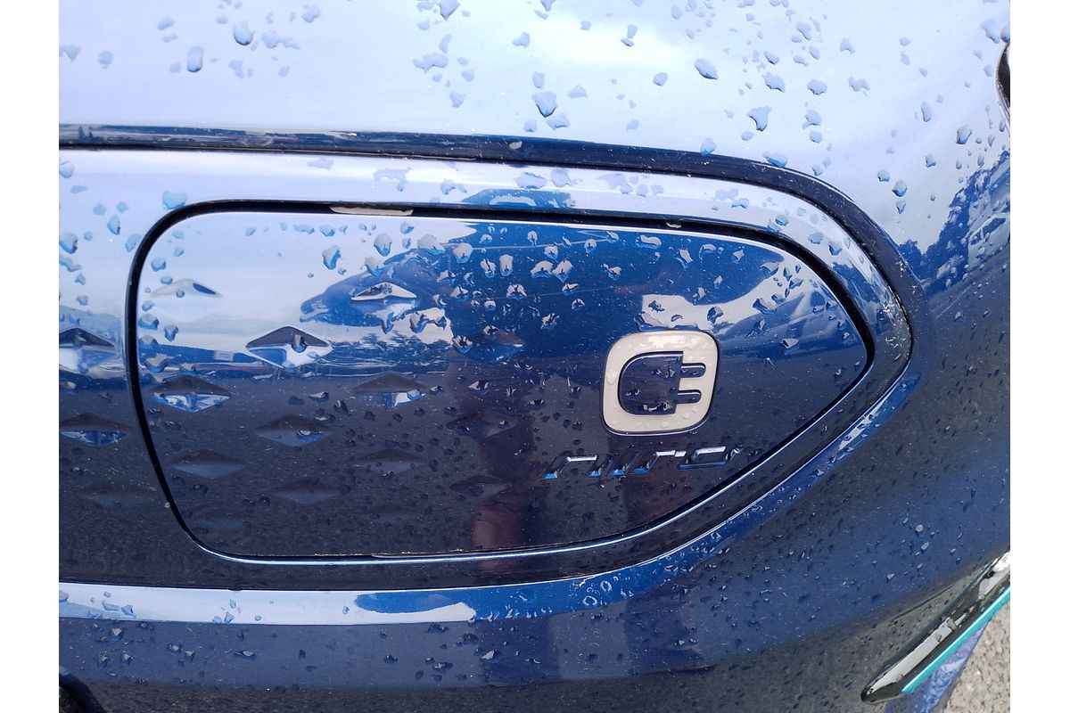 2021 Kia Niro EV Sport DE