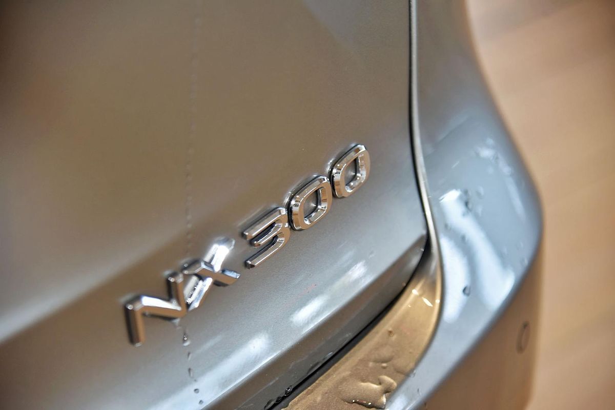 2021 Lexus NX NX300 Luxury AGZ10R