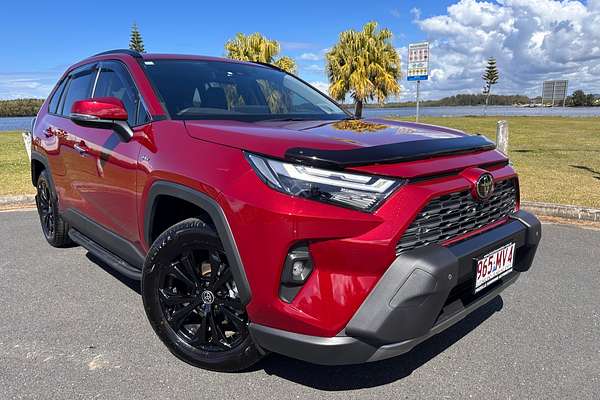 2025 Toyota RAV4 Cruiser
